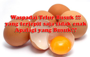 telur