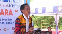 Kepala OJK NTT